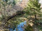  Daddy's Creek Trail - 7.92 Ac. - Photo 11