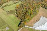 23 Acres Moore Cove Rd - Photo 8