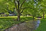 553 Caney Creek Rd - Photo 3