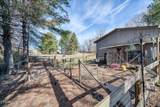 810 Mitchell Lane - Photo 14