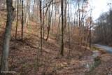 6.70ac Wet Mill Creek Rd - Photo 10