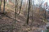 6.70ac Wet Mill Creek Rd - Photo 11