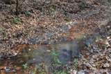 6.70ac Wet Mill Creek Rd - Photo 14