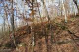 6.70ac Wet Mill Creek Rd - Photo 23