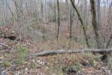 6.70ac Wet Mill Creek Rd - Photo 24