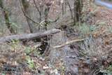 6.70ac Wet Mill Creek Rd - Photo 27
