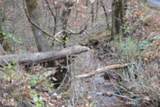 6.70ac Wet Mill Creek Rd - Photo 28