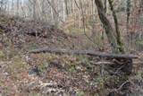 6.70ac Wet Mill Creek Rd - Photo 29