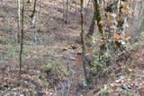 6.70ac Wet Mill Creek Rd - Photo 3