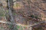 6.70ac Wet Mill Creek Rd - Photo 8