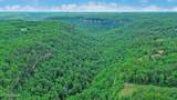  Eagle Bluff - Photo 8