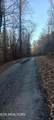  Braden Chapel Rd - Photo 4