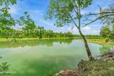  Waterfront Knoll - Photo 3