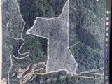0 Hoskins Gap Rd - Photo 2