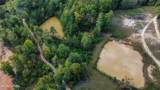 700+ AC Puncheon Creek Lane - Photo 3