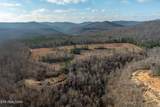 700+ AC Puncheon Creek Lane - Photo 41