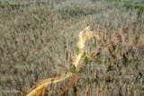 700+ AC Puncheon Creek Lane - Photo 48