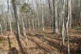  Forest View - Photo 10