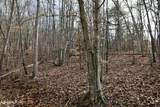  Forest View - Photo 13