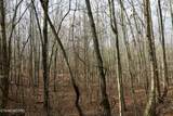  Forest View - Photo 14