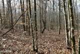  Forest View - Photo 16