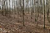  Forest View - Photo 18