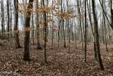  Forest View - Photo 19