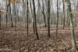  Forest View - Photo 20