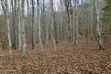  Forest View - Photo 21