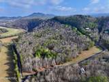  Forest View - Photo 4