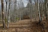  Forest View - Photo 7