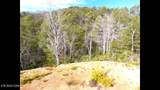 Lot 36 Bullet Mountain Drive - Photo 19