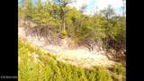 Lot 36 Bullet Mountain Drive - Photo 23