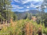 Lot 36 Bullet Mountain Drive - Photo 32