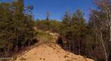 Lot 36 Bullet Mountain Drive - Photo 36