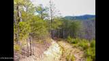 Lot 36 Bullet Mountain Drive - Photo 41