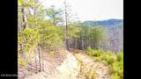 Lot 36 Bullet Mountain Drive - Photo 42