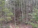  Bear Hollow Rd - Photo 11