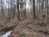  Bear Hollow Rd - Photo 12