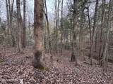 Bear Hollow Rd - Photo 13