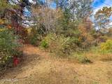Lot 9 Reed Bull Rd - Photo 7