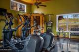 527 Orchard Valley Way - Photo 50