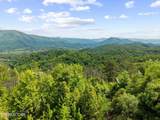 2602 Hatcher Mountain Rd - Photo 1