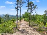 2602 Hatcher Mountain Rd - Photo 12