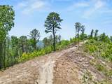 2602 Hatcher Mountain Rd - Photo 16