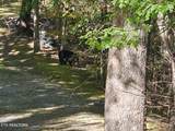  Lot 11 Stepping Stone Drive - Photo 27