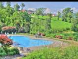  Lot 230 Ruth Circle - Photo 32