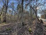  Tn-131 - Photo 2