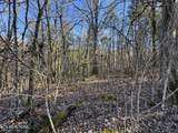  Tn-131 - Photo 3