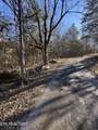  Tn-131 - Photo 5